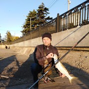 ���������� ������, ���� ������� ����, 51 ���, ������������ ��� ������, ����� � ���������, c�������� ���������