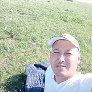 ���������� ������, ���� ������� ������, 41 ���, ������������ ��� ������, ����� � ���������, c�������� ���������