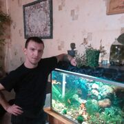 ���������� ������ ��������, ���� ������� �������, 38 ���, ������������ ��� c�������� ���������, ���������