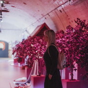 ���������� ������, ���� ������� ���, 40 ���, ������������ ��� ������, ����� � ���������, c�������� ���������, ���������