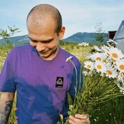  ,   , 33 ,   ,   