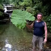  ,   , 61 ,     , c 
