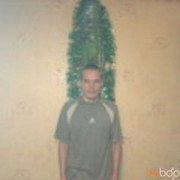  ,   Dobermann, 34 ,   