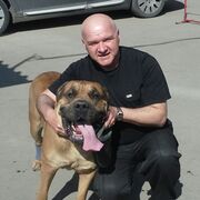 ���������� ��������, ���� ������� ���������, 61 ���, ������������ ��� c�������� ���������