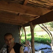  ,   ART, 50 ,   