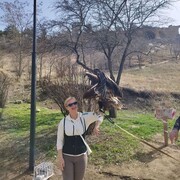 ���������� �����������, ���� ������� �����, 50 ���, ������������ ��� c�������� ���������, ���������