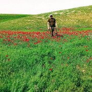 ���������� �����-���������, ���� ������� Boyka, 30 ���, ������������ ��� ����� � ���������, c�������� ���������, ���������