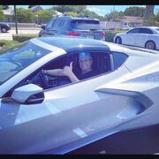 ���������� �����, ���� ������� Gustav, 55 ���, ������������ ��� ������, ����� � ���������, c�������� ���������