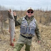 ���������� �����������, ���� ������� TKD, 53 ����, ������������ ��� ������, ����� � ���������, c�������� ���������