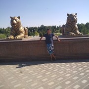 ���������� �����������, ���� ������� ���, 37 ���, ������������ ��� ������, ����� � ���������, c�������� ���������