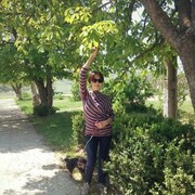 ���������� �����������, ���� ������� ������, 47 ���, ������������ ��� c�������� ���������, ���������