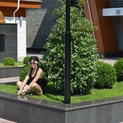  ,   , 31 ,     , c 
