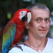  ,   , 97 ,   , 
