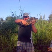 ���������� ������, ���� ������� Aleksey, 43 ����, ������������ ��� ������, ����� � ���������, c�������� ���������