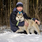 ���������� �����, ���� ������� ����, 42 ����, ������������ ��� ������, ����� � ���������