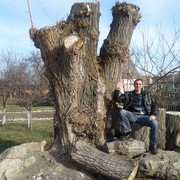 ���������� �������, ���� ������� �������, 50 ���, ������������ ��� ����� � ���������, c�������� ���������