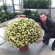 ���������� ������, ���� ������� ��������, 37 ���, ������������ ��� ������, ����� � ���������, c�������� ���������