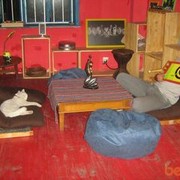 ���������� ���������, ���� ������� Dauren, 37 ���, ������������ 