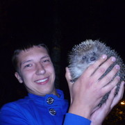 ���������� �������, ���� ������� ��������, 33 ����, ������������ ��� ������, ����� � ���������, c�������� ���������