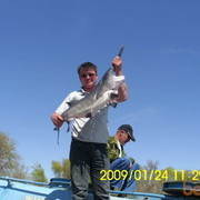 ���������� ������, ���� ������� ������, 50 ���, ������������ ��� ������