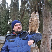 ���������� ������-��-����, ���� ������� �����, 45 ���, ������������ ��� ������, ����� � ���������, c�������� ���������