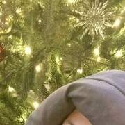 ���������� ������, ���� ������� ������, 38 ���, ������������ ��� ������, ����� � ���������, ���������