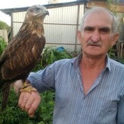  ,   , 72 ,   ,   , c 