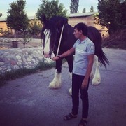  ,   Anvar, 37 ,   ,   , c 