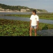 ���������� �����������, ���� ������� �������, 40 ���, ������������ ��� ������, ����� � ���������, c�������� ���������, ���������