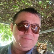  ,   , 66 ,   ,   