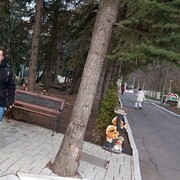 ���������� ���������, ���� ������� �������, 38 ���, ������������ ��� ������, ����� � ���������