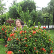 ���������� ������������, ���� ������� ������, 52 ����, ������������ 