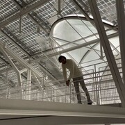 ���������� �������, ���� ������� �������, 29 ���, ������������ ��� ����� � ���������, c�������� ���������