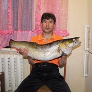  ,   , 58 ,  