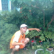 ���������� ��������, ���� ������� ������, 44 ����, ������������ ��� ����� � ���������, c�������� ���������