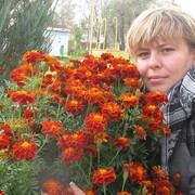  ,   , 48 ,  