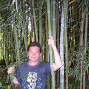 ���������� �����, ���� ������� Jekson, 46 ���, ������������ 