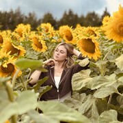 ���������� ���������� �����, ���� ������� �����, 34 ����, ������������ ��� ������, ����� � ���������