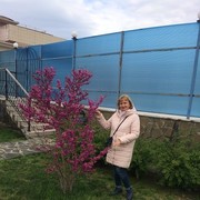 ���������� ������, ���� ������� �������, 65 ���, ������������ ��� ������, ����� � ���������, c�������� ���������