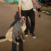 ���������� ������, ���� ������� �� �������, 30 ���, ������������ ��� ������, ����� � ���������