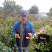 ���������� �����, ���� ������� ����, 50 ���, ������������ ��� ������, ����� � ���������