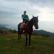 ���������� �������, ���� ������� ������, 41 ���, ������������ ��� ������, ����� � ���������, c�������� ���������