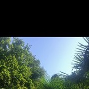  ,   , 50 ,   ,   , c 