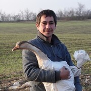 ���������� ������, ���� ������� �������, 37 ���, ������������ ��� ������, ����� � ���������, c�������� ���������