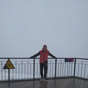   ,   , 36 ,     , c , 