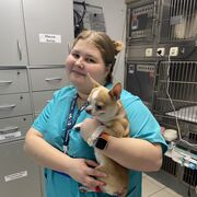 ���������� ������, ���� ������� ����, 21 ���, ������������ ��� ������, ����� � ���������