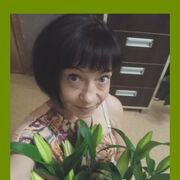 ���������� �����������, ���� ������� �����, 50 ���, ������������ ��� ����� � ���������, c�������� ���������