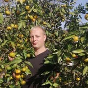 ���������� ��������, ���� ������� ������, 37 ���, ������������ ��� ������, ����� � ���������, c�������� ���������