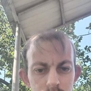  --,   , 41 ,     , c , 