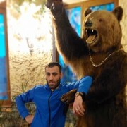 ���������� ����, ���� ������� �����, 38 ���, ������������ ��� ������, ����� � ���������